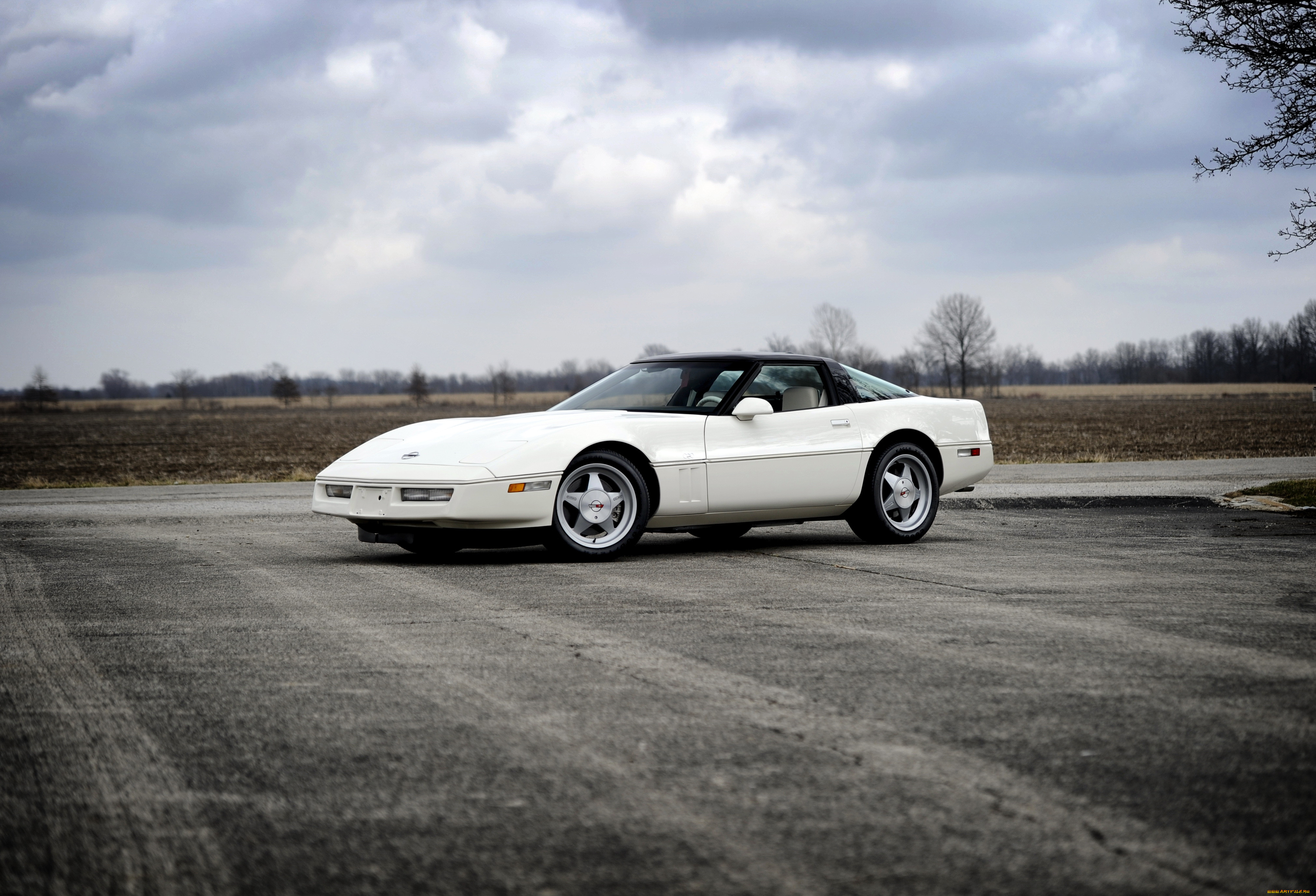 , corvette